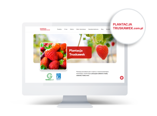 Plantacja Truskawek